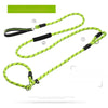 Nylon P-Chain Dog Training Leash