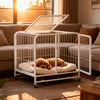 Reinforced Metal Dog Crate with Integrated Toilet Area
