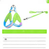 Y-Front Polyester Dog Harness with Leash for Small Dogs
