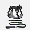 Lightweight Nylon Dog Harness and Leash Set for Everyday Walks