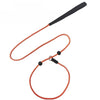 Nylon Rope Training Leash for Small and Medium-Sized Dogs