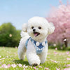 Nylon Dog Harness and Leash for Small Dogs