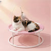 Round Elevated Pet Bed for Year-Round Lounging