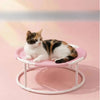 Round Elevated Pet Bed for Year-Round Lounging