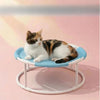 Round Elevated Pet Bed for Year-Round Lounging